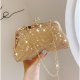 Women's Bags Evening Bag Glitter Shine Party Wedding Wedding Party 2021 Handbags Messenger Bag Black Gold Silver