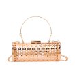 Women's Bags Evening Bag Party Wedding Party Birthday Handbags Chain Bag Messenger Bag Champagne Gold