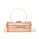 Women's Bags Evening Bag Party Wedding Party Birthday Handbags Chain Bag Messenger Bag Champagne Gold
